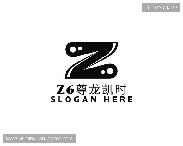 介绍z6尊龙凯时